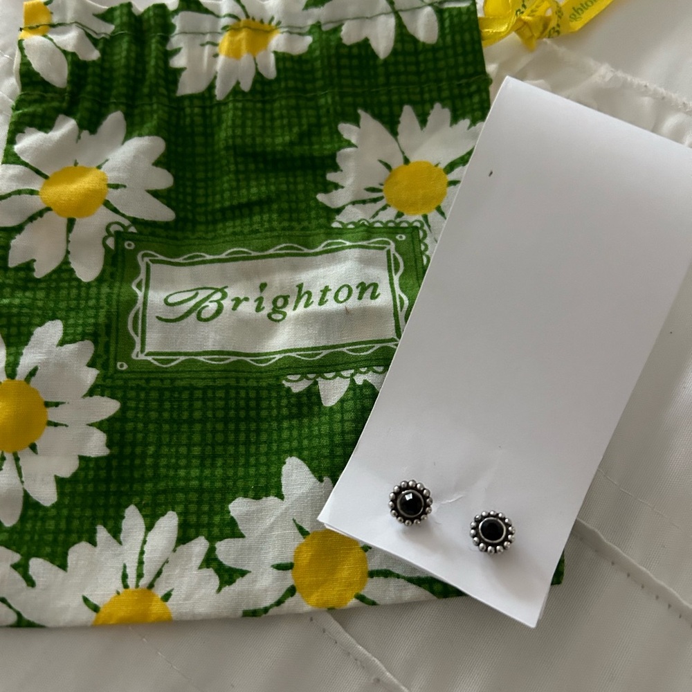 Brighton post earrings